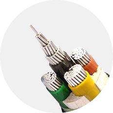 低压电力电缆-双菱品牌
广州电缆厂有限公司